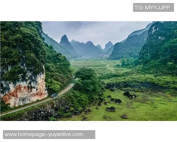 探索埃斯特旺的魅力与历史：一场文化与自然的完美融合之旅