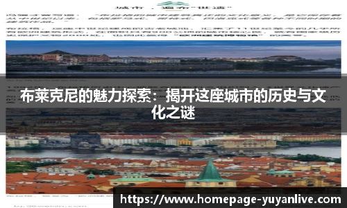 雨燕体育直播