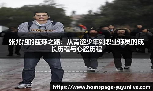 雨燕高清直播