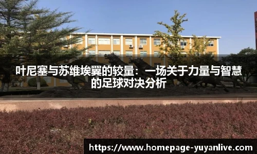 雨燕体育直播