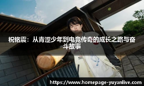雨燕体育直播